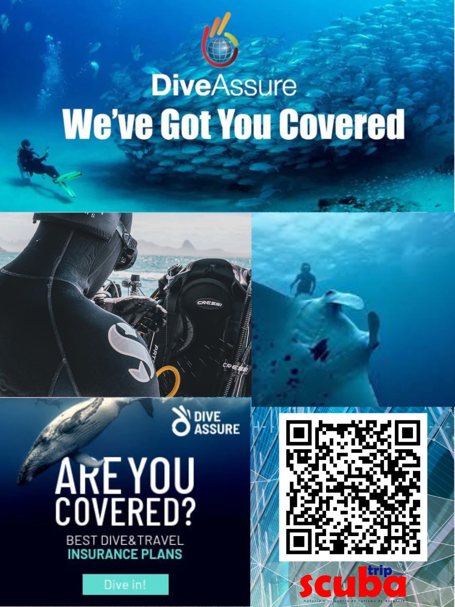 SEGURO DE MERGULHO DIVEASSURE